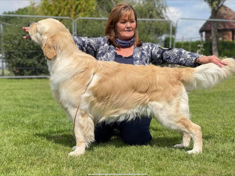 406946242 1128377428148784 3878736241226993597 n 768x576