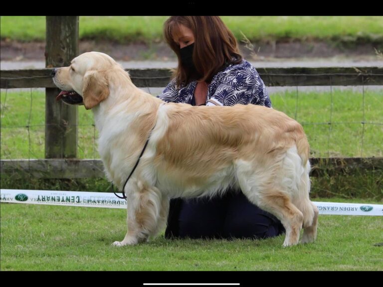 409431377 1084466382986848 958721045847437074 n 768x576