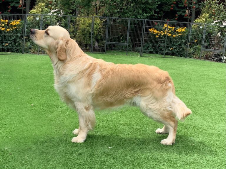 409669587 1090452075312221 1353681801120960108 n 768x576