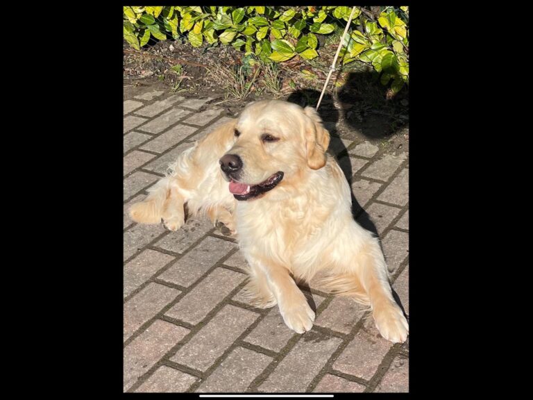 410251183 1072998024116149 1479114767412437249 n 768x576