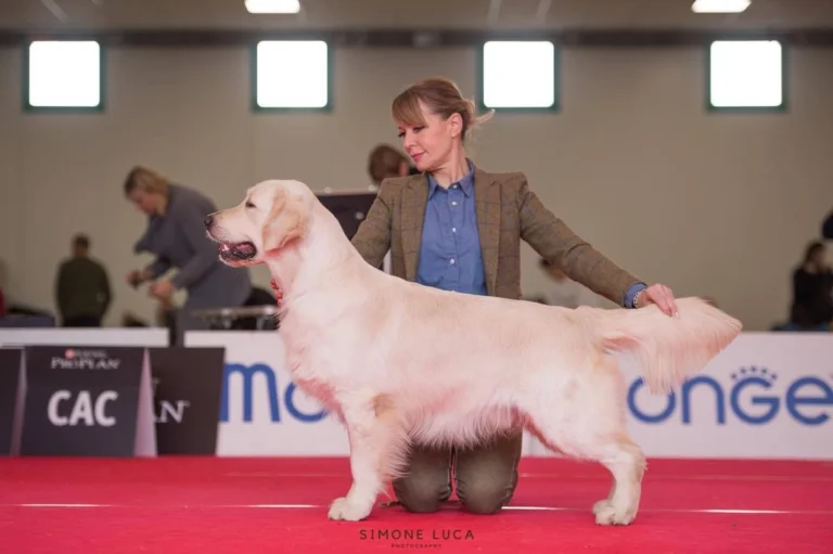 Declan 11 mesi 3 768x511