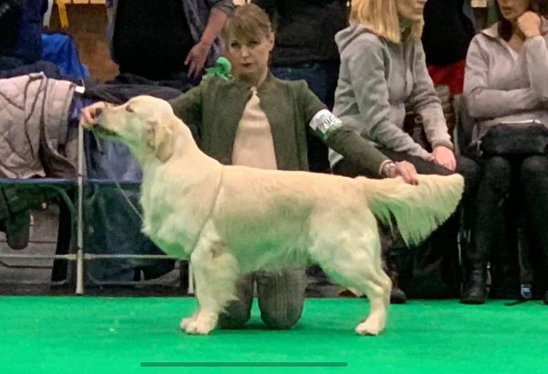 Declan 13 mesi 768x524