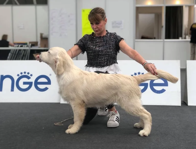 Declan 5mesi 768x582