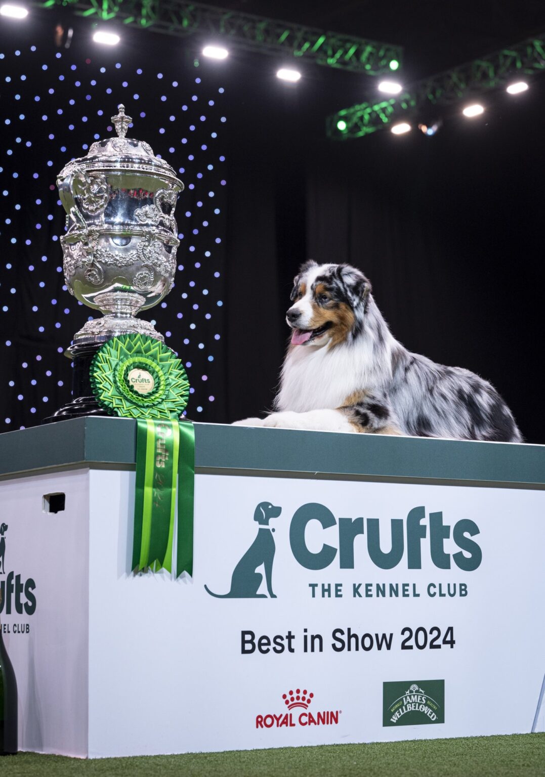 Crufts 2025 Spectator Guide