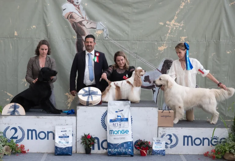 Norman 3 in the group Pinkerly No Matter What 768x527