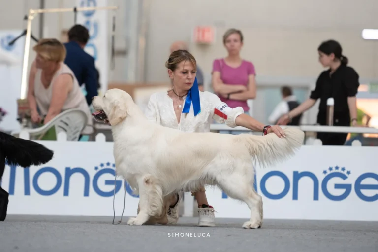 Norman Pinkelry No Matter What 768x511