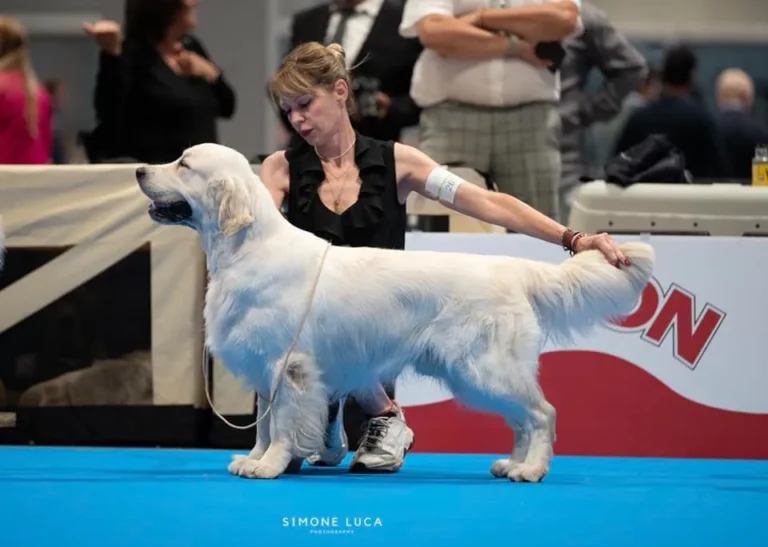 Norman Pinkerly No Matter What 768x547