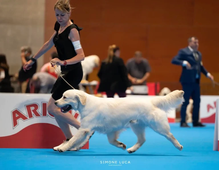 Norman Pinkerly No Matter What 2 768x597