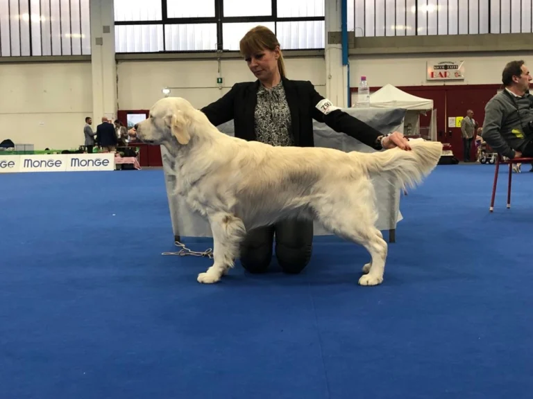 Pinkerly in the rush hour 1 768x576