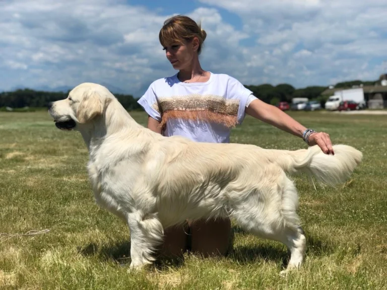 Pinkerly in the rush hour 3 768x576