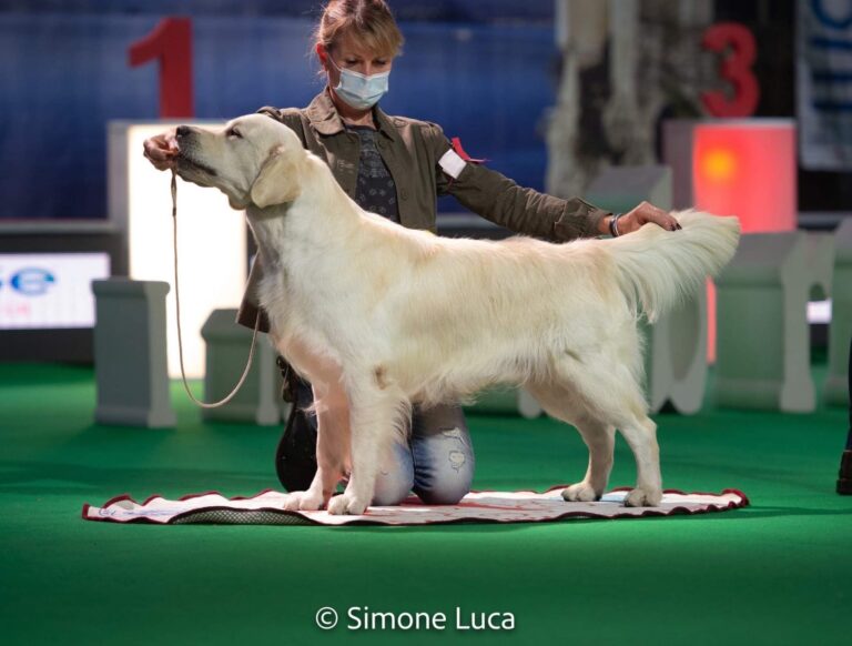 PinkerlyKeepCalm1 768x582