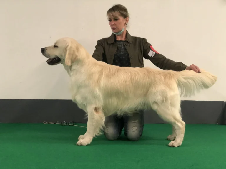 PinkerlyKeepCalm2 768x576