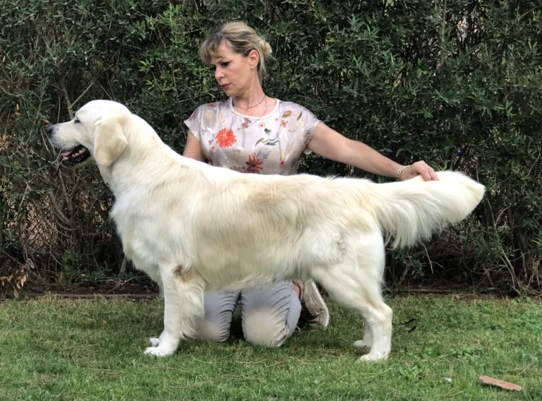 PinkerlyKeepCalm3 768x568