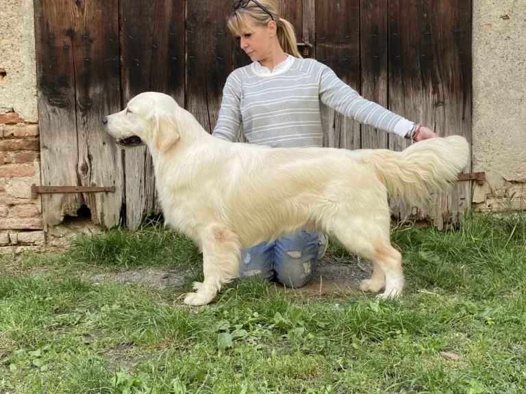 no matter what 1 scaled 1 768x576