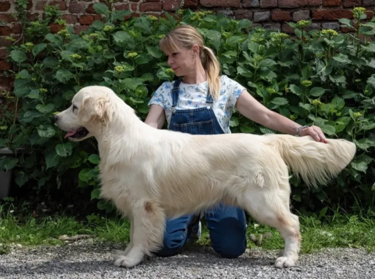 no matter what 2 768x571