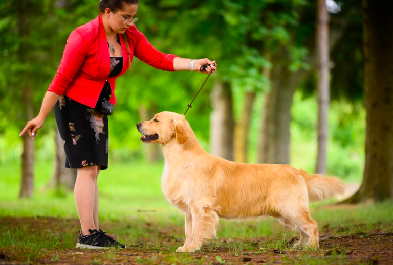 Screenshot 2024 05 10 at 13.41.11 768x519