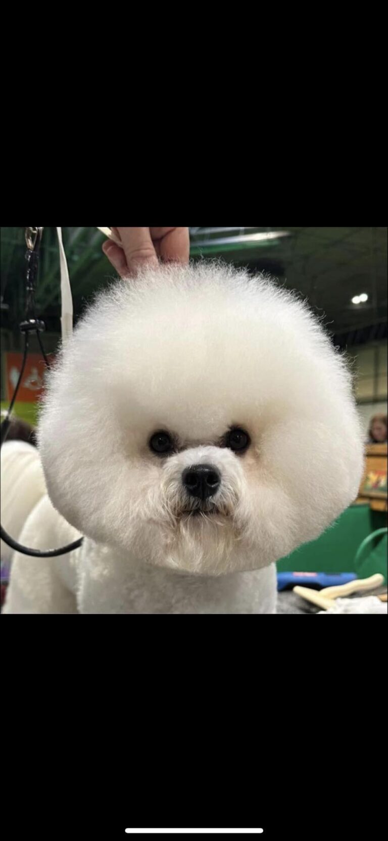 f7fc7dab 3461 4d4f 8456 0599047134d9 768x1664