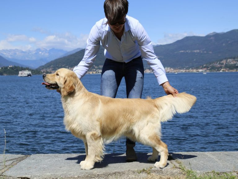 1M1A0393 scaled 1 768x578