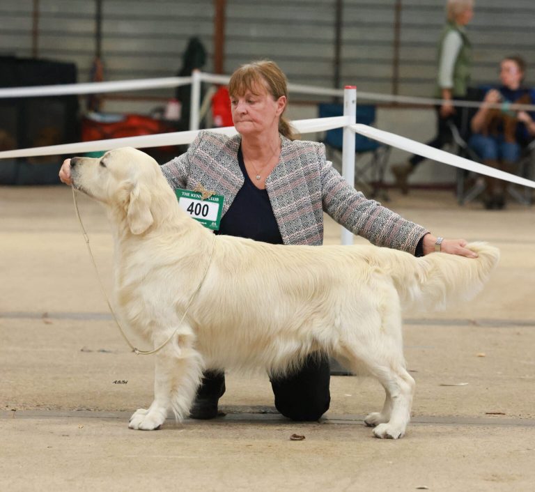 395101823 6618343348273258 1780229892432699554 n 1536x1411 1 768x706