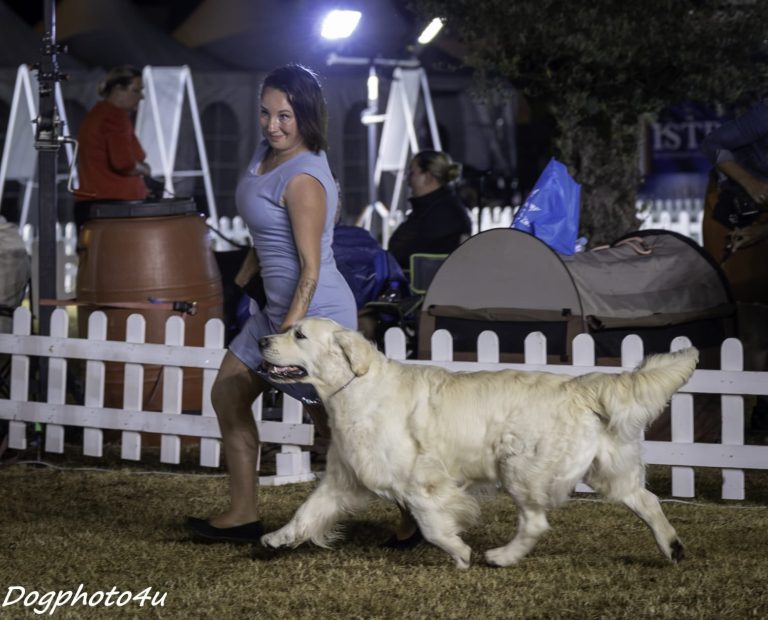 51e3a7eb 2512 4a90 9386 bbef8fe516b3 768x620