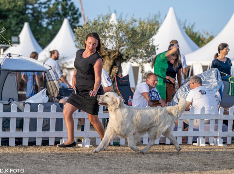 687009d1 fb0f 4430 adbb c94feff67f0f 768x572