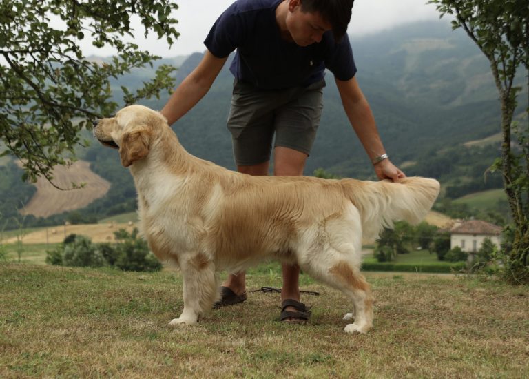 Page1 scaled 1 768x550