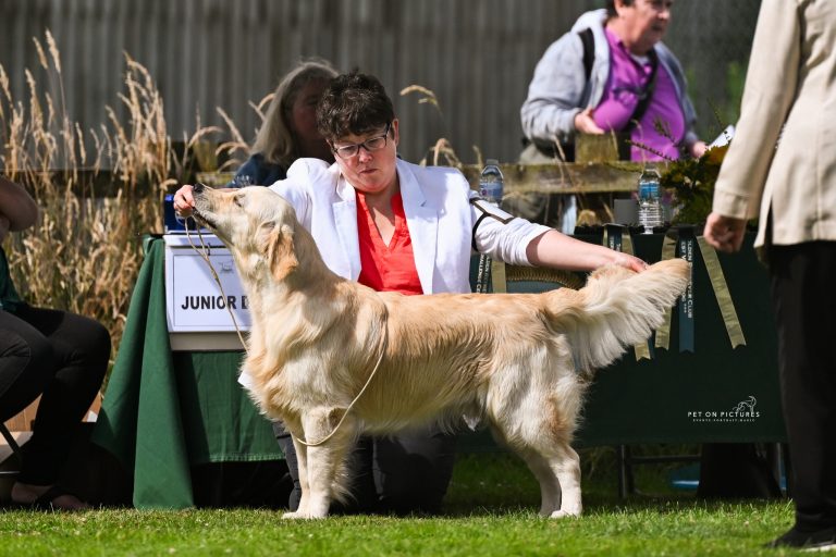 Shearstone Janner JW 768x512