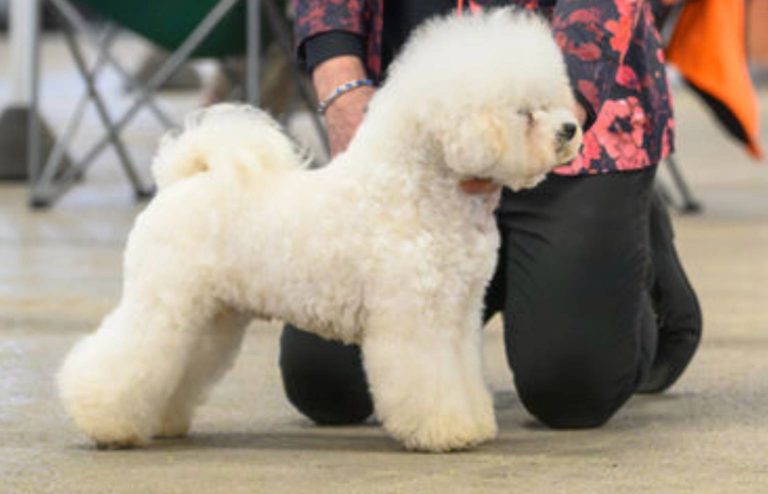 172e1a0b 99c3 44c5 aa4a 9dc7dcaa1e60 768x494