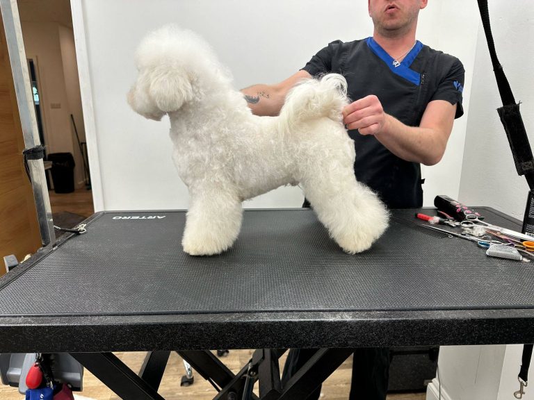 9dc01019 4574 44fb be05 da8e8a8c3d44 768x576