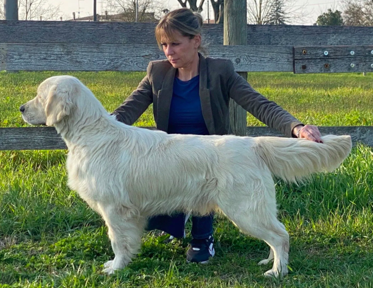 Screenshot 2025 06 30 at 14.41.25 768x594