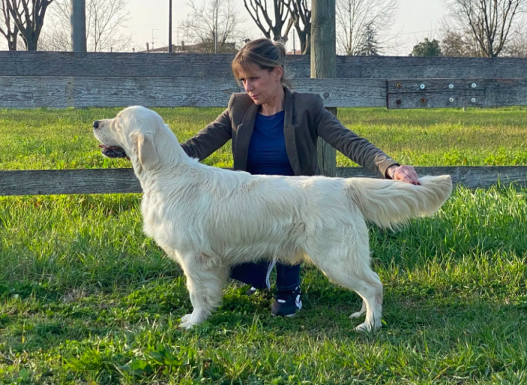 Screenshot 2025 06 30 at 14.41.32 768x561