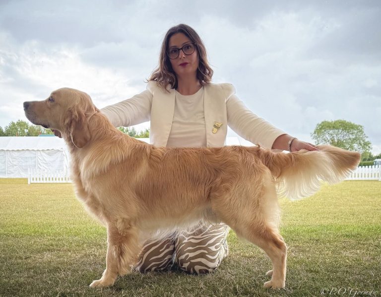 5bc20e0a 5695 42f2 a701 2c9aa5f35420 768x599