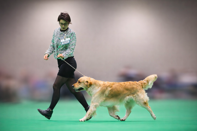 CCCD3A62 4716 4C01 B06B 0A67E5B03540 768x512