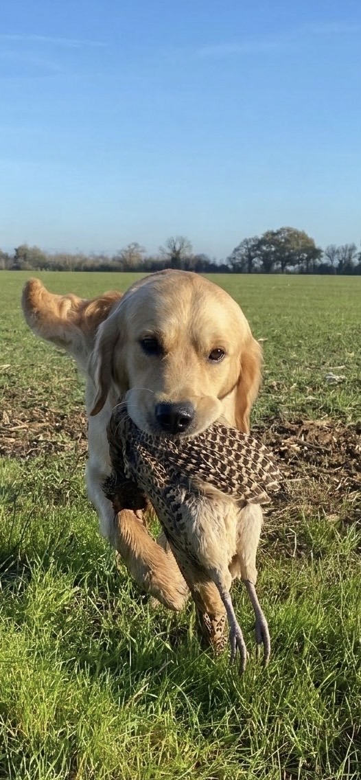 eb0da07c ef65 469e a0d4 b1a55daf6706